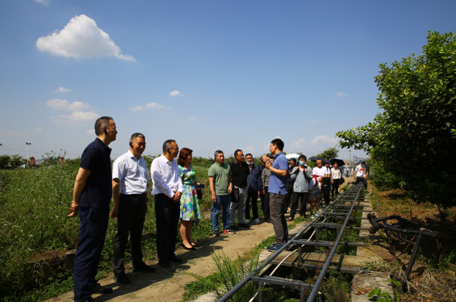 1660537491419818.png image.png