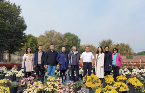 1666576695944117.png image.png