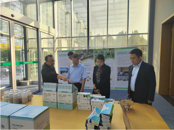 1700484394653867.png image.png